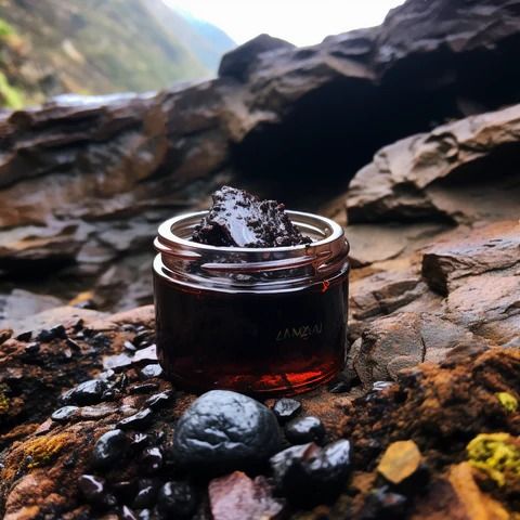 SUDH HIMALAYAN SHILAJIT - Image 3